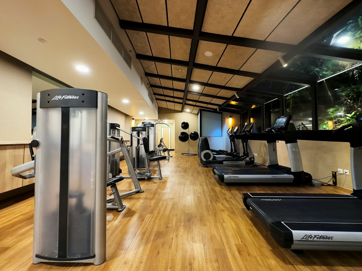 Modern gym with treadmills and weight machines.